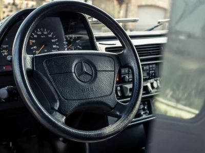 Mercedes Classe G 290 290 - GD TURBO - WINCH - LICHTE VRACHT - <small></small> 31.950 € <small>TTC</small> - #19