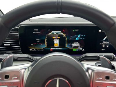 Mercedes GLE 53 AMG 4-Matic+ (EU6AP)  - 10