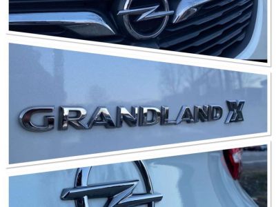 Opel Grandland X 1.5 Turbo D 131 cv ! 1er Propr. !- Cam.360°  - 9