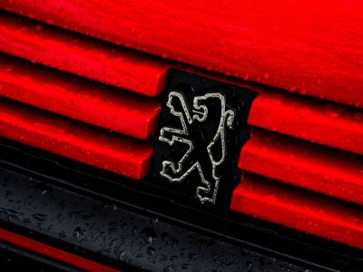 Peugeot 205 GTI  - 5