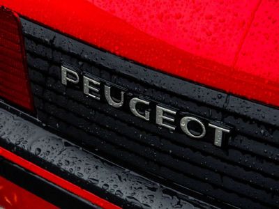 Peugeot 205 GTI  - 11