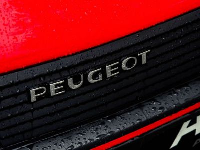 Peugeot 205 GTI  - 12
