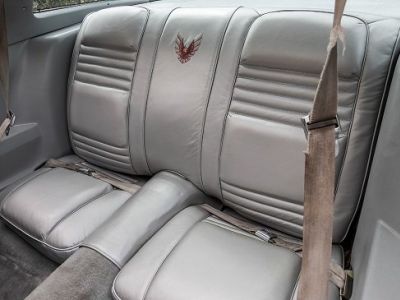 Pontiac Firebird Trans Am 10th Anniversary Edition - <small></small> 39.200 € <small>TTC</small>
