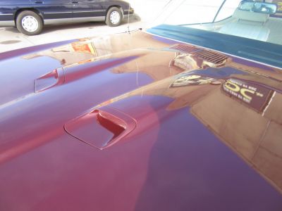 Pontiac GTO - <small></small> 38.000 € <small>TTC</small> - #34