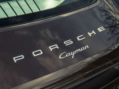 Porsche Cayman 981  - 10