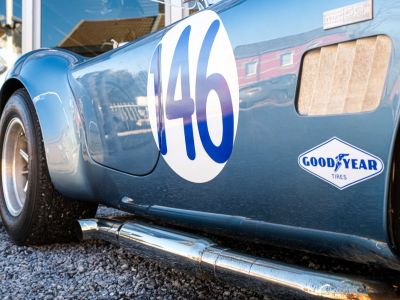 Shelby Cobra Shelby Cobra 289 CSX7... FIA 50th Anniversaire Avec Passeport FIA (PTH)  - 17