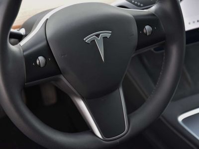 Tesla Model 3 AWD LONGE RANGE DUAL MOTOR  - 11