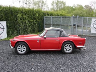 Triumph TR250 TR 250  - 8