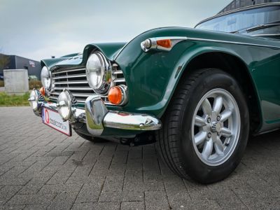 Triumph TR4A   - 5