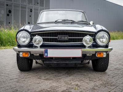 Triumph TR6 2500  - 6