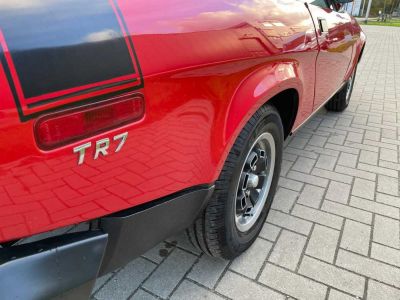 Triumph TR7  - 8