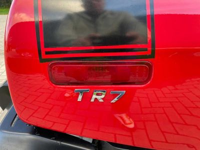 Triumph TR7  - 22
