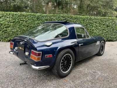 TVR Vixen  - 6