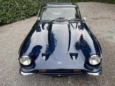 TVR Vixen  - 9