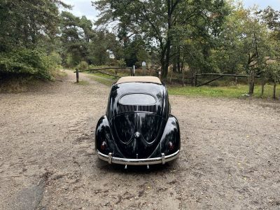 Volkswagen Beetle 1200 cc 36 BHP  - 10