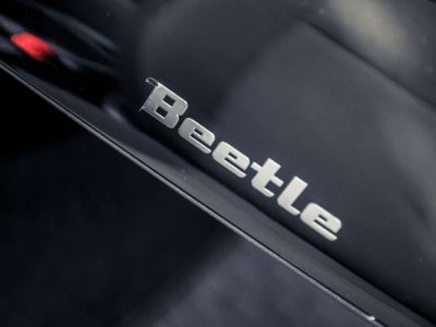 Volkswagen Beetle  - 19