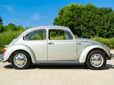 Volkswagen Beetle - Prix sur Demande