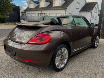 Volkswagen Beetle Cabriolet 2.0 CR TDi 70' LEDER-ZETELVERW.-PDC-18  - 4