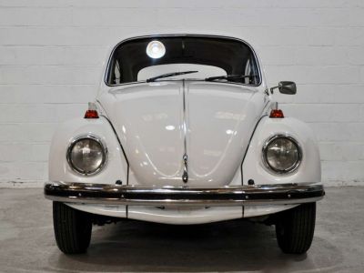 Volkswagen Coccinelle 1.300cc 40cv  - 5