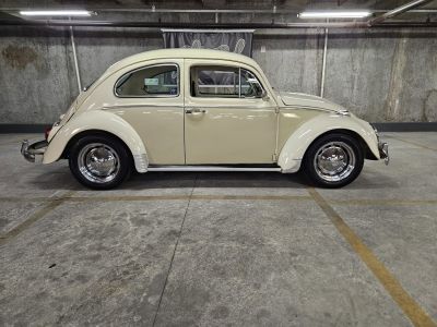 Volkswagen Coccinelle 1600 Double carbu - <small></small> 15.700 € <small>TTC</small>