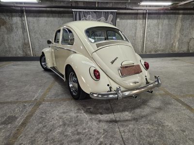 Volkswagen Coccinelle 1600 Double carbu - <small></small> 15.700 € <small>TTC</small>