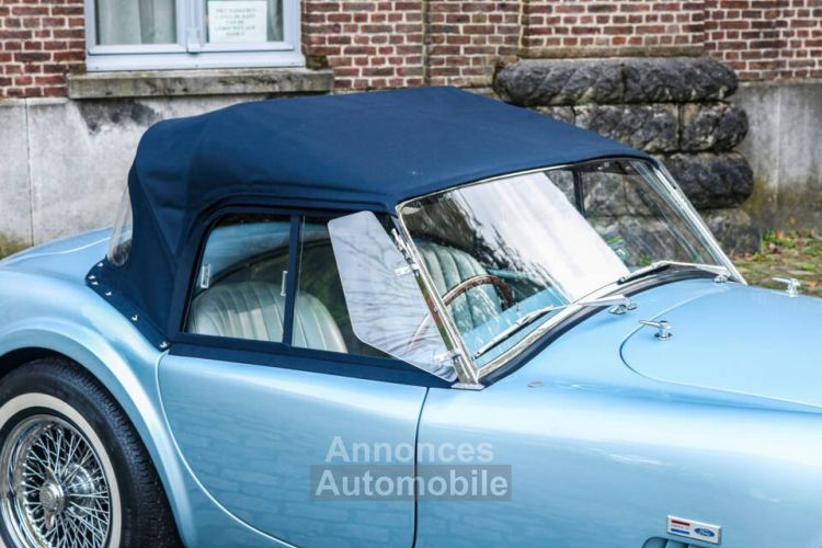 AC Cobra 289 - Prix sur Demande - #11