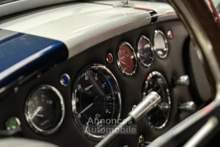 AC Cobra 7.0 Big Block Atmosferic Ford Racing - <small></small> 106.500 € <small>TTC</small> - #14