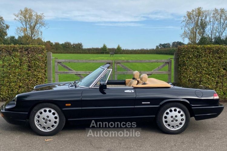 Alfa Romeo Spider - <small></small> 23.500 € <small>TTC</small> - #2