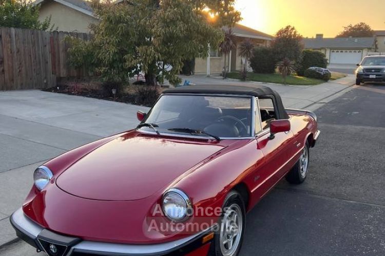 Alfa Romeo Spider - <small></small> 19.000 € <small>TTC</small> - #8