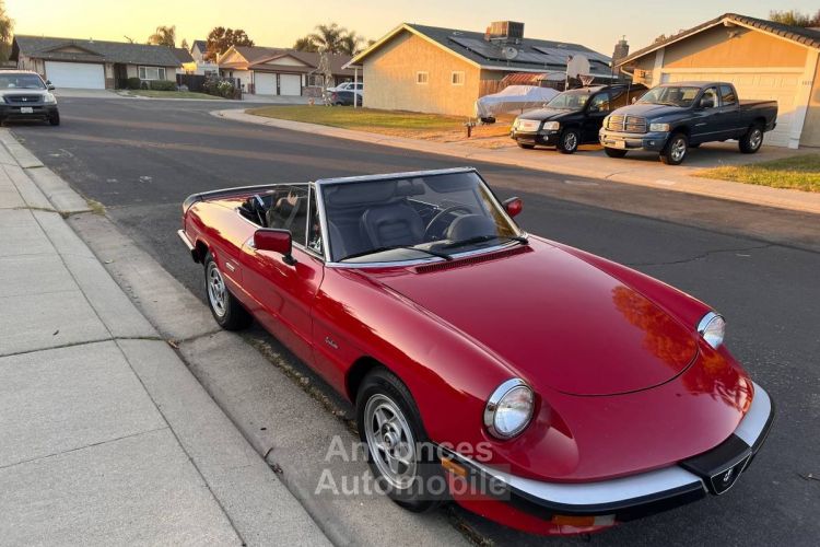 Alfa Romeo Spider - <small></small> 19.000 € <small>TTC</small> - #10