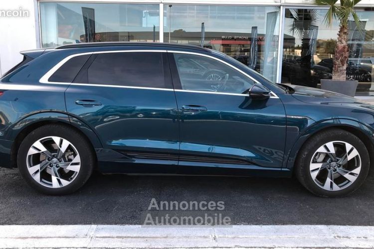 Audi e-tron 55 quattro 408 ch Avus - <small></small> 38.906 € <small>TTC</small> - #6