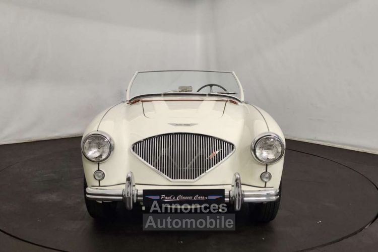 Austin Healey 100 / 4 BN2 kit Le Mans - <small></small> 115.000 € <small>TTC</small> - #15