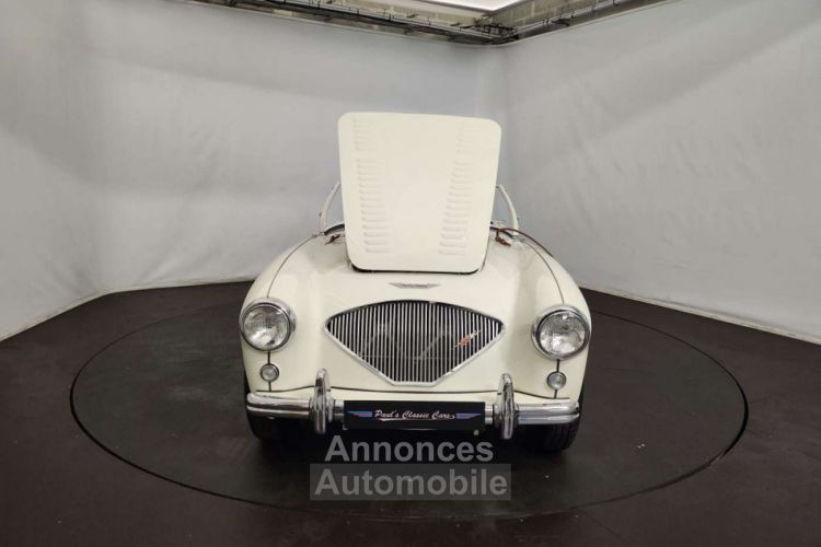 Austin Healey 100 / 4 BN2 kit Le Mans - <small></small> 115.000 € <small>TTC</small> - #66