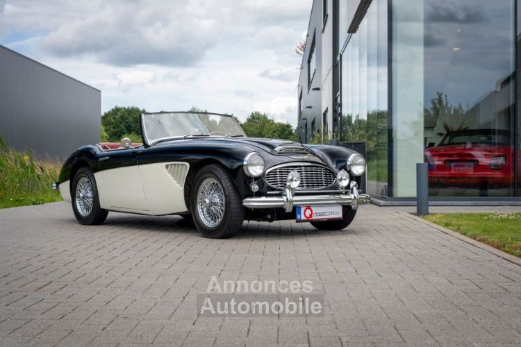 Austin Healey 100 100/6 - <small></small> 47.500 € <small>TTC</small> - #1