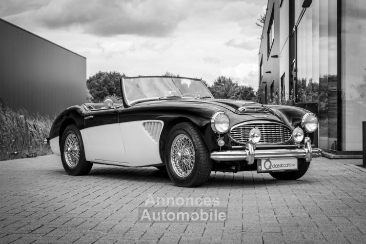 Austin Healey 100 100/6 - <small></small> 47.500 € <small>TTC</small> - #2