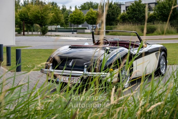 Austin Healey 100 100/6 - <small></small> 47.500 € <small>TTC</small> - #3