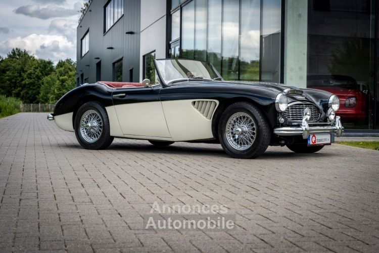 Austin Healey 100 100/6 - <small></small> 47.500 € <small>TTC</small> - #4