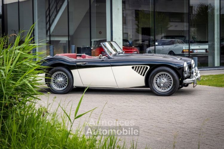 Austin Healey 100 100/6 - <small></small> 47.500 € <small>TTC</small> - #5