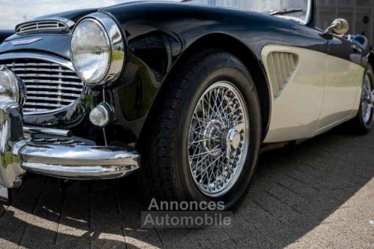 Austin Healey 100 100/6 - <small></small> 47.500 € <small>TTC</small> - #6