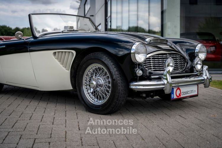 Austin Healey 100 100/6 - <small></small> 47.500 € <small>TTC</small> - #7