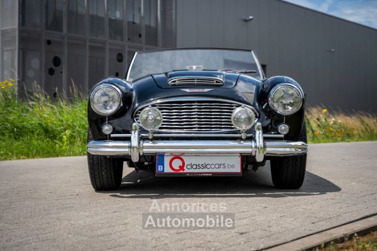 Austin Healey 100 100/6 - <small></small> 47.500 € <small>TTC</small> - #12