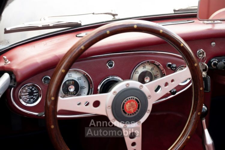 Austin Healey 100 100/6 - <small></small> 47.500 € <small>TTC</small> - #29