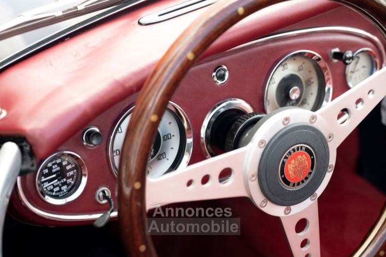 Austin Healey 100 100/6 - <small></small> 47.500 € <small>TTC</small> - #31