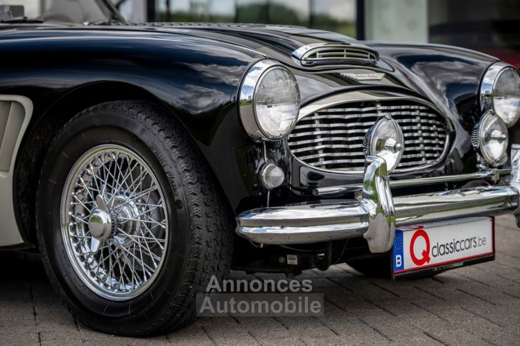 Austin Healey 100 100/6 - <small></small> 47.500 € <small>TTC</small> - #35