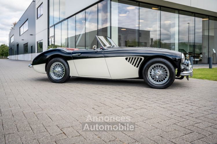 Austin Healey 100 100/6 - <small></small> 47.500 € <small>TTC</small> - #36