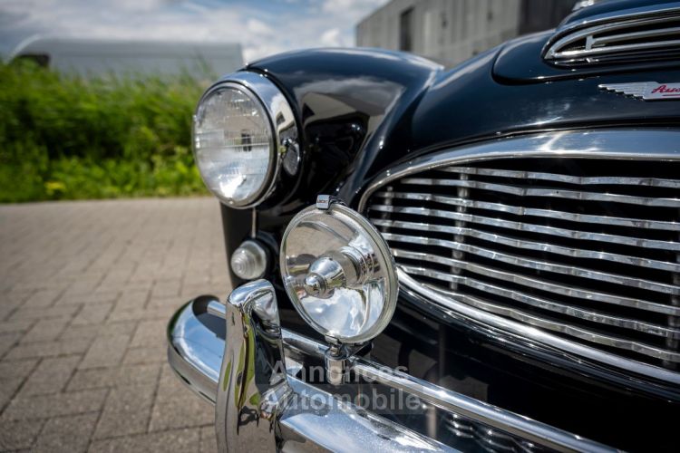 Austin Healey 100 100/6 - <small></small> 47.500 € <small>TTC</small> - #37