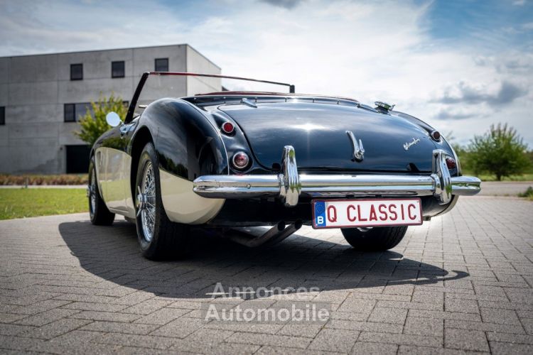 Austin Healey 100 100/6 - <small></small> 47.500 € <small>TTC</small> - #38