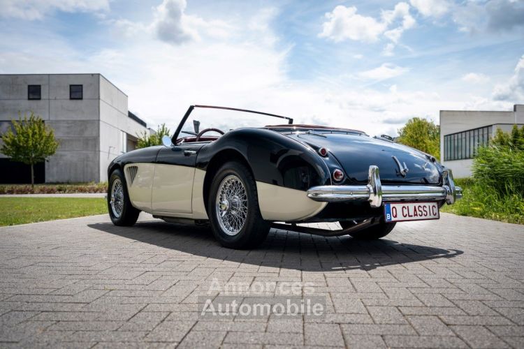 Austin Healey 100 100/6 - <small></small> 47.500 € <small>TTC</small> - #39