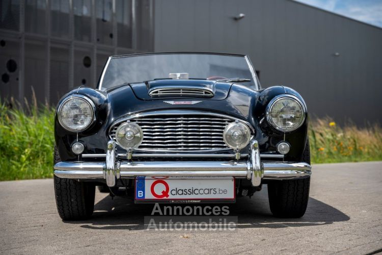 Austin Healey 100 100/6 - <small></small> 47.500 € <small>TTC</small> - #40