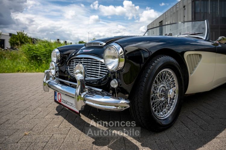 Austin Healey 100 100/6 - <small></small> 47.500 € <small>TTC</small> - #41